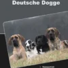 Traumrasse Deutsche Dogge
