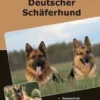 Traumrasse: Deutscher Schäferhund