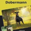 Traumrasse: Dobermann