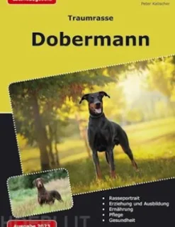 Traumrasse: Dobermann