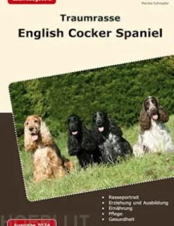 Traumrasse: English Cocker Spaniel