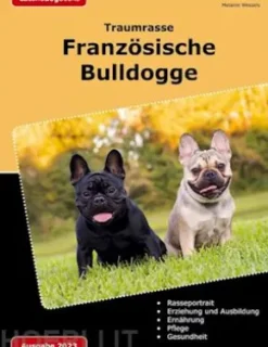 Traumrasse: Französische Bulldogge