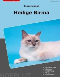 Traumrasse Heilige Birma