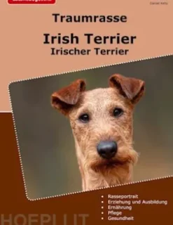 Traumrasse Irish Terrier