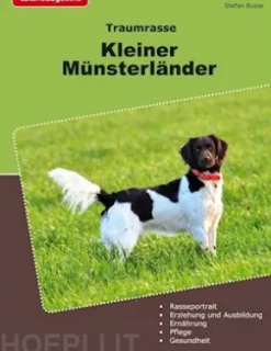 Traumrasse Kleiner Münsterländer