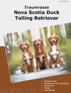 Traumrasse Nova Scotia Duck Tolling Retriever