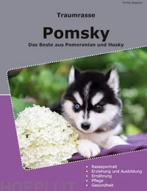 Traumrasse Pomsky