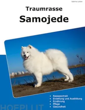 Traumrasse Samojede