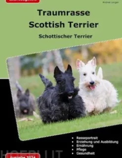 Traumrasse Scottish Terrier