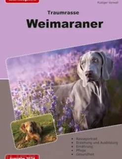 Traumrasse: Weimaraner