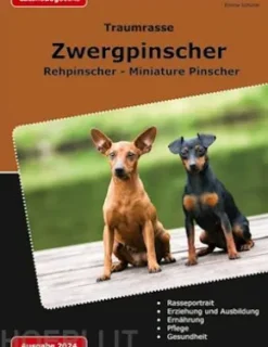 Traumrasse Zwergpinscher
