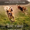 Tre cani enormi (e qualche umano)