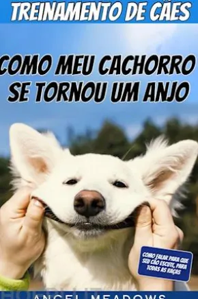 Treinamento De Cães: Como Meu Cachorro Se Tornou Um Anjo