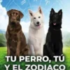 Tu perro tu y el zodiaco