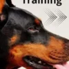 Turbo Training