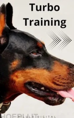 Turbo Training