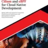 Ultimate Cilium and eBPF for Cloud Native Development
