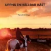 Uppnå En Hållbar Häst