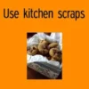 Use kitchen scraps