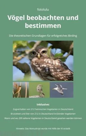 Vögel beobachten und bestimmen