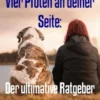 Vier Pfoten an deiner Seite