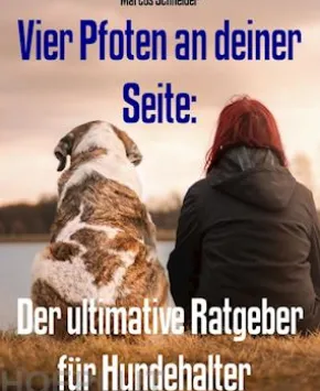Vier Pfoten an deiner Seite