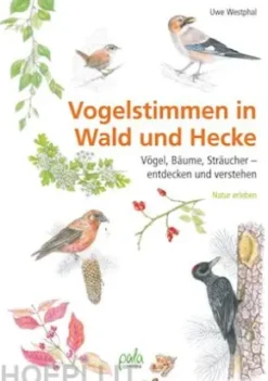Vogelstimmen in Wald und Hecke