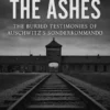 Voices From The Ashes