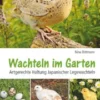 Wachteln im Garten