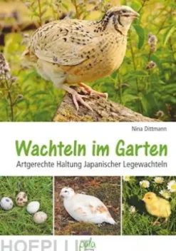 Wachteln im Garten