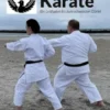 Wado-Ryu Karate