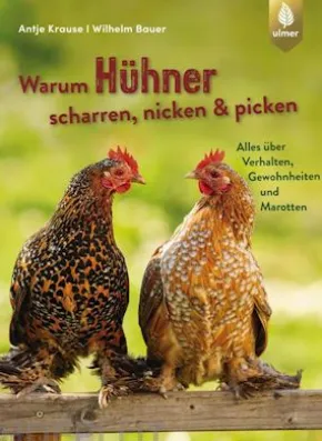 Warum Hühner scharren, nicken und picken