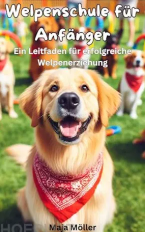 Welpenschule für Anfänger