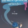 What makes an organization slow and how to fix it