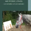 Wie Pferde lernen