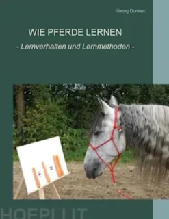 Wie Pferde lernen