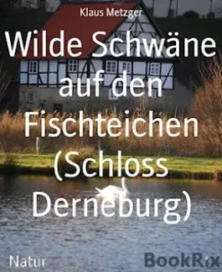 Wilde Schwäne auf den Fischteichen (Schloss Derneburg)