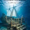 Wizzard Accademy