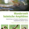 Wunderwelt heimische Amphibien