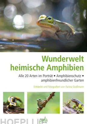 Wunderwelt heimische Amphibien