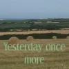 Yesterday once more
