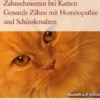 Zahnschmerzen bei Katzen Gesunde Zähne mit Homöopathie und Schüsslersalzen