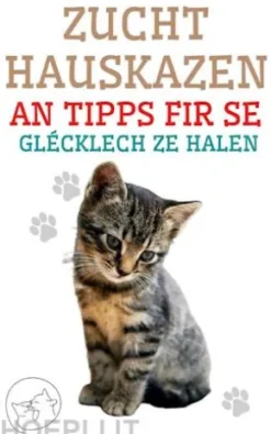 Zucht Hauskazen an Tipps fir se Glécklech ze Halen